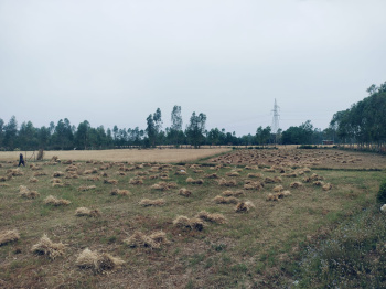 Property for sale in Behat, Saharanpur