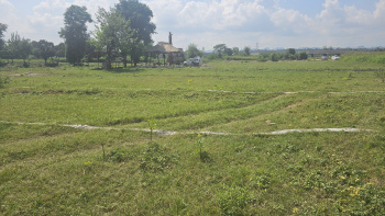 Residential Plot for Sale in Selakui, Dehradun (500 Sq. Yards)