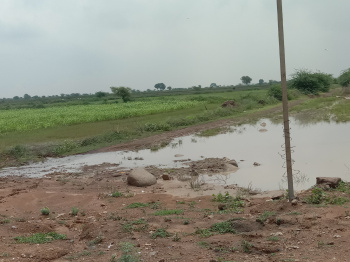 90000 Sq.ft. Commercial Lands /Inst. Land for Sale in Madhya Pradesh