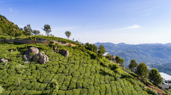 Residential Plot For Sale In Coonoor, Nilgiris (40 Cent)