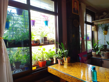 Property for sale in Ambicapatty, Silchar
