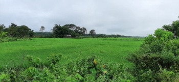 6 Katha Residential Plot for Sale in Ambicapatty, Silchar