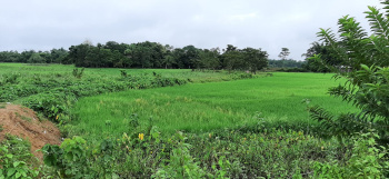 10 Katha Commercial Lands /Inst. Land for Sale in Meherpur, Silchar