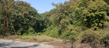 12 Bigha roadside plot suitable for any kind of industry etc