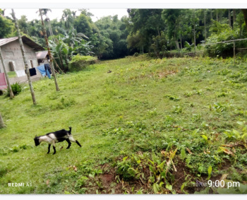 A beautiful plot for sale in Amolapatty