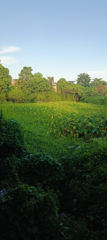 Property for sale in Ramnagar, Silchar