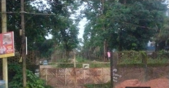 100 Katha Residential Plot for Sale in Meherpur, Silchar