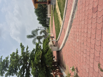 We have 2 plots of 525 sq/ft  size total size of plots is 1050 sq/ft