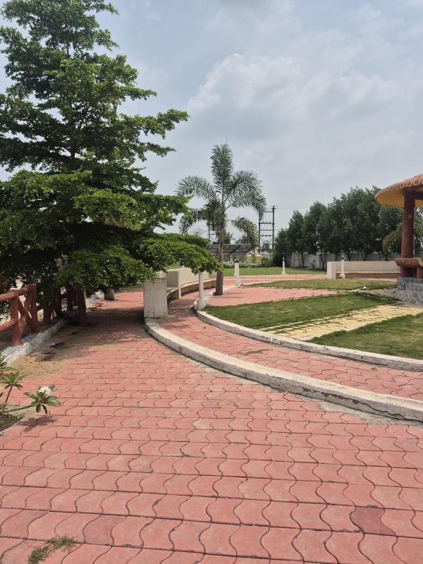 We Have 2 Plots Of 525 Sq/ft  Size Total Size Of Plots Is 1050 Sq/ft
