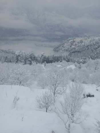 Property for sale in Naggar Road, Manali