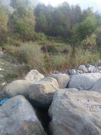 5 Biswa land for sale in Manali