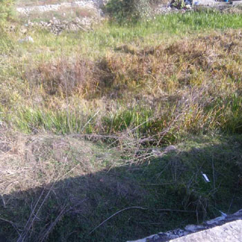 Property for sale in Old Manali