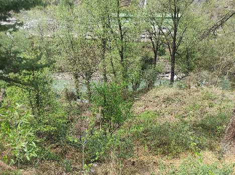10 Biswas land for sale in Kasol, Parvati Valley , Himachal