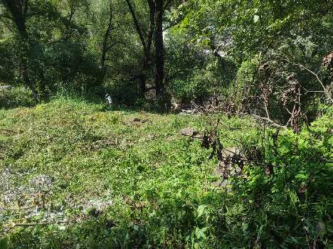 Property for sale in Kasol, Kullu