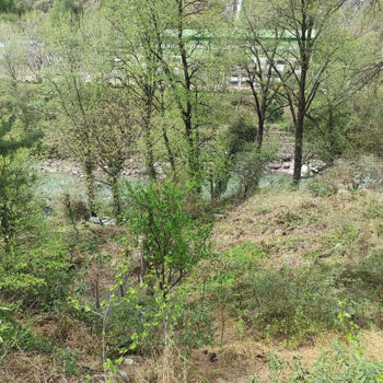 10 Biswas land for sale in Kasol, Parvati Valley