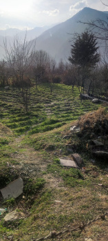 Property for sale in Naggar Road, Manali