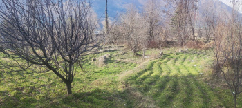Property for sale in Naggar Road, Manali