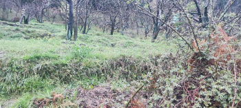 10 Biswas agricultural land for sale in Manali