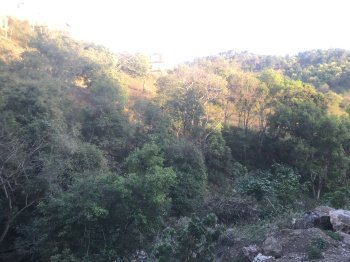 Property for sale in Nahan, Sirmour