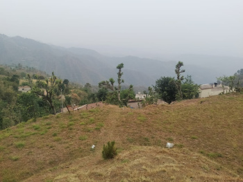 29 Biswas agricultural land for sale in Nihog, Nahan