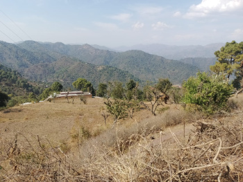 73 Biswas agricultural land for sale in Jaitak, Nahan