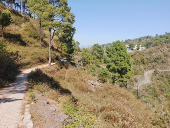 One bighas land for sale in Jamta, Nahan