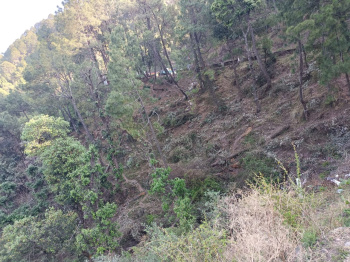 Property for sale in Nahan, Sirmour
