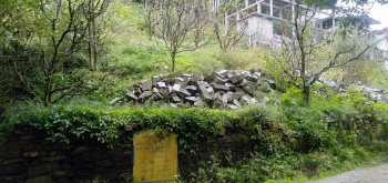 10 Biswas land for sale in Simsa, Manali