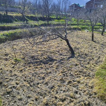 Property for sale in Kullu - Naggar - Manali Road