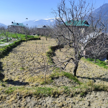 Property for sale in Kullu - Naggar - Manali Road