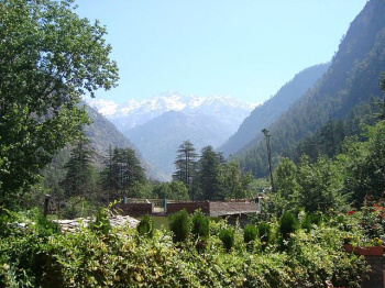 17 Biswas land for sale in Kasol, Parvati Valley