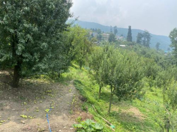 Property for sale in Kasol, Kullu