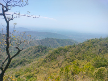 41 bighas land for sale in Nahan to Shimla National Highway