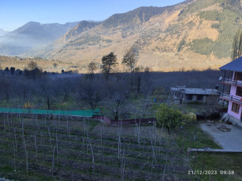2 bigha agricultural land for sale in Manali for Hotel purposes