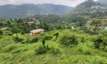 1 bigha land for sale near degree College Solan