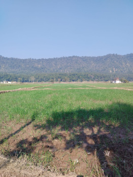 Property for sale in Paonta Sahib, Sirmour