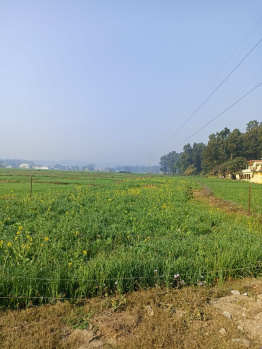 31 Biswas Agricultural land for sale in Kolar, Sirmaur,