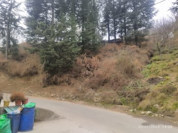 41 Biswas Agricultural land for sale in Manali for Hotel