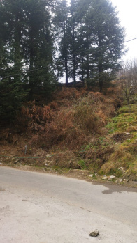 Property for sale in Kanyal Road, Manali