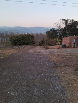 6 biswas land for sale in Shambhuwala, Nahan