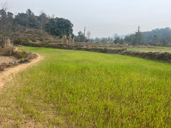 28 biswas agricultural land for sale in Nahan near Ramadhon.