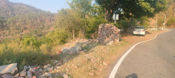 1 bigha land for sale near Sarahan , Kumarhatti to Dehradun National Highway