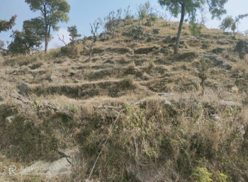 Property for sale in Sarahan, Sirmour