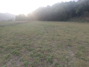 37 bighas agricultural land for sale in Shambhuwala, Nahan to Dehradun NH