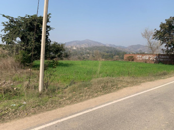 17 biswas land for sale in Kalamb, Suketi Fossil Park road