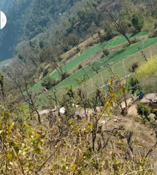 60 bighas agricultural land for sale in Sarahan, Sirmaur, Himachal Pradesh