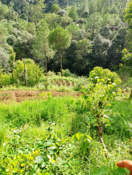 Property for sale in Sarahan, Sirmour