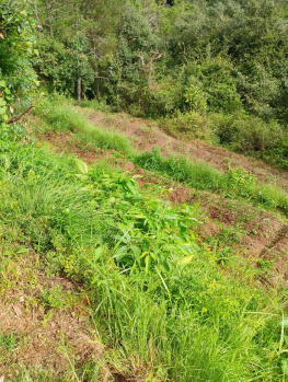 Property for sale in Sarahan, Sirmour