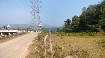 25 bigha agricultural land for sale in Sailani, Nahan, Sirmaur, HP