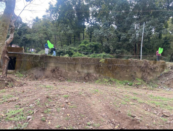 30 biswas Agricultural land for sale in Shambhuwala, National Highway